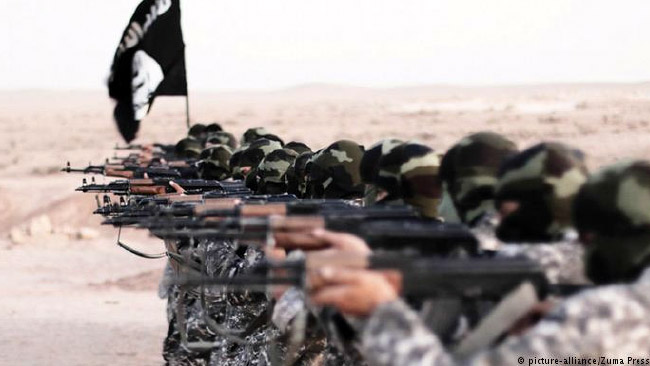 Europe Versus  the Islamic State 